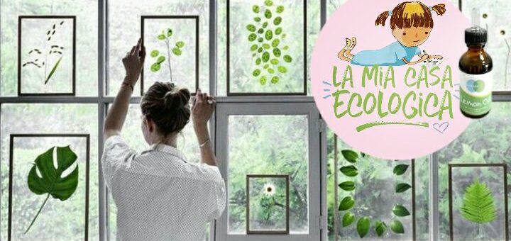 Come utilizzare gli oli essenziali per pulire la casa