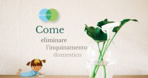 inquinamento domestico